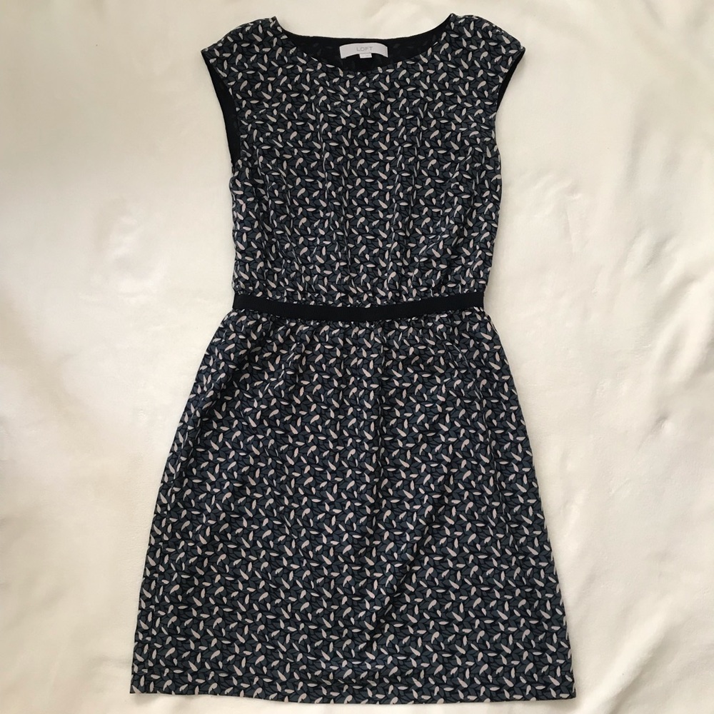 Ann Taylor Loft Dress